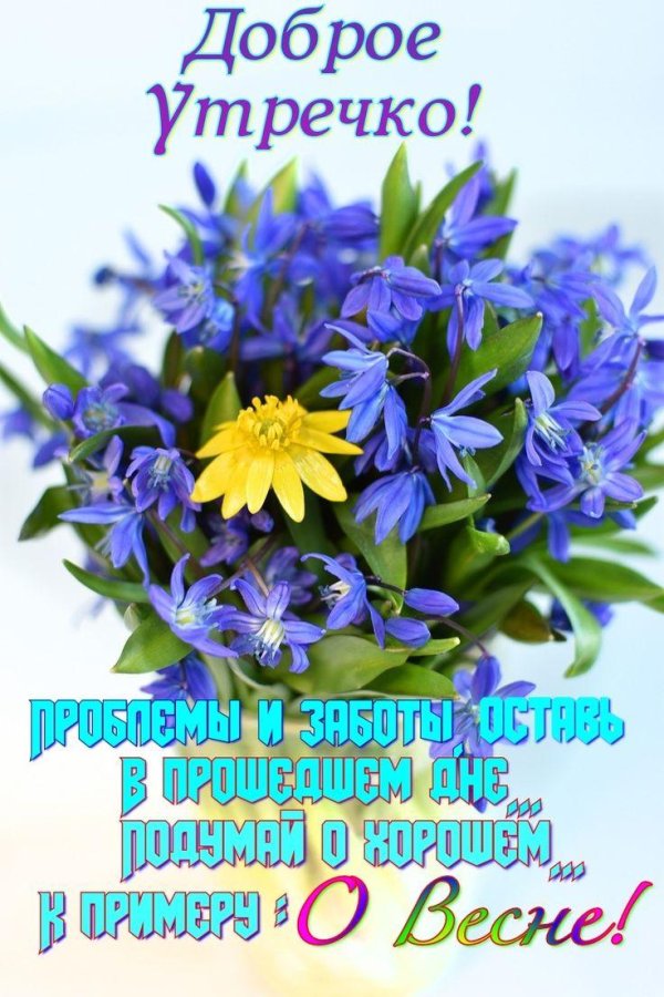 букетик синих подснежников