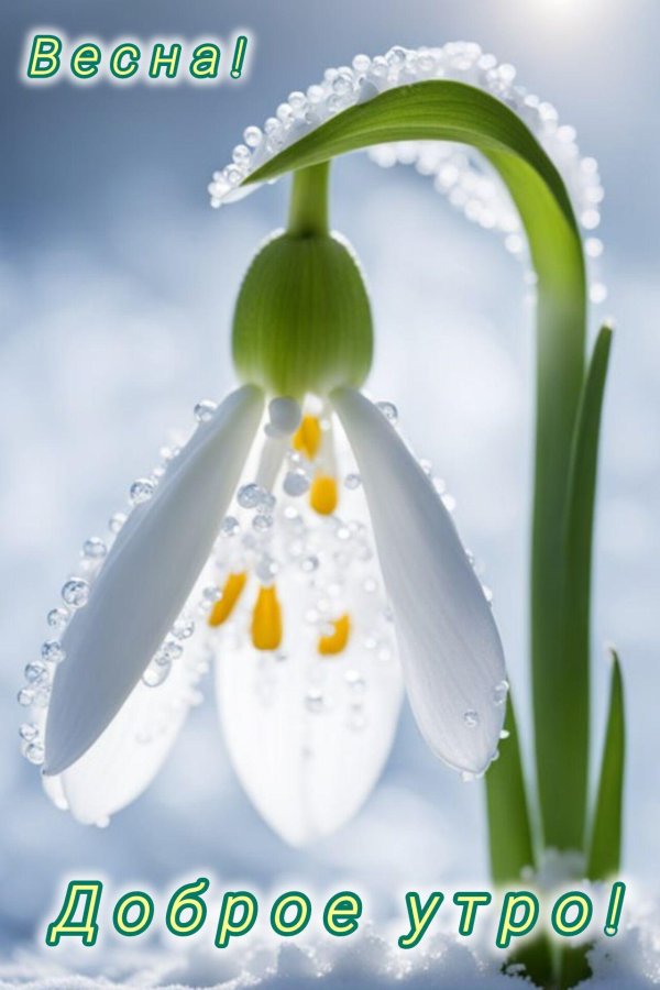 доброго весеннего утра открытки
