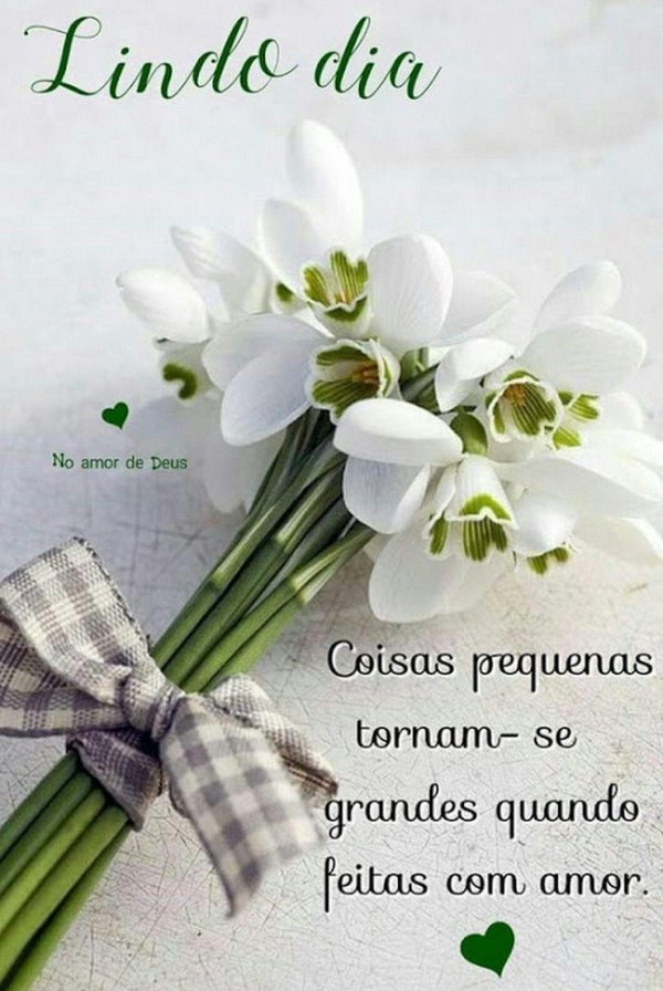 подснежник букет