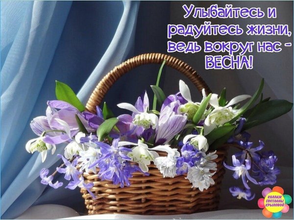 корзина весенних цветов