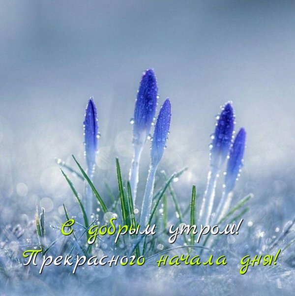 наступление весны