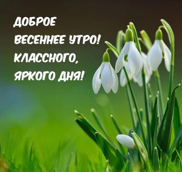 добрейшего весеннего утра