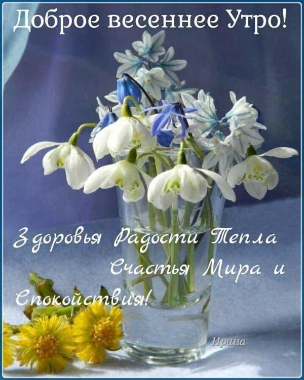 весеннего утра