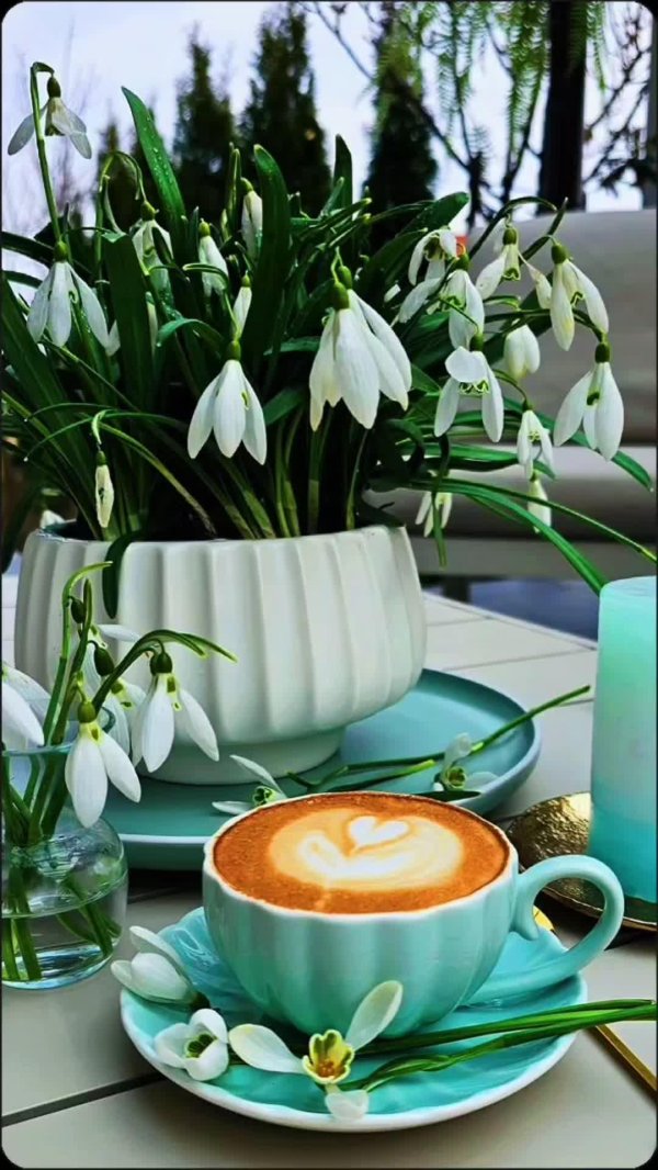 доброго утра весна