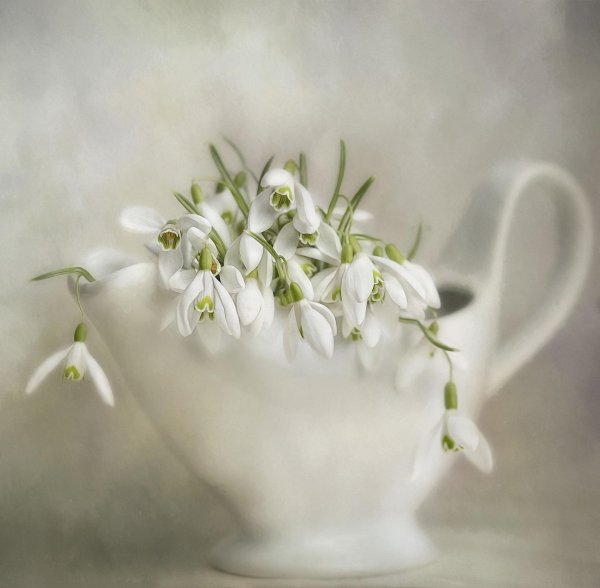 валевская валентина натюрморт с подснежниками