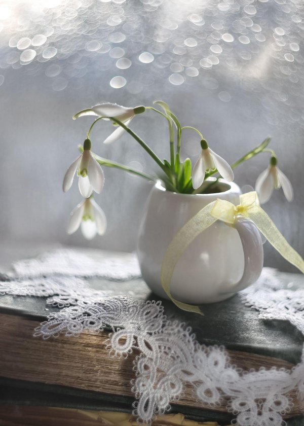 ваза с подснежниками