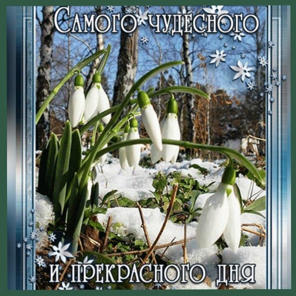 весна подснежник