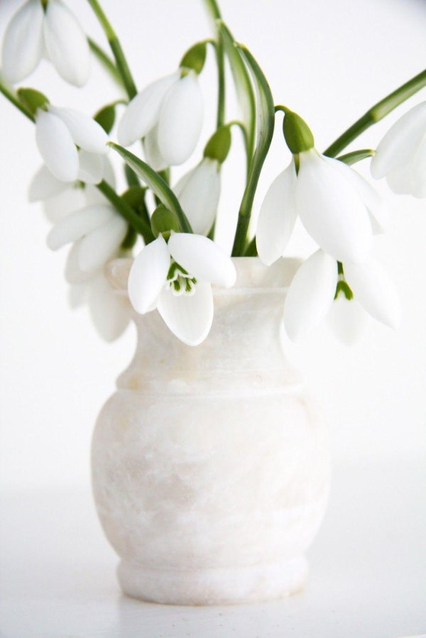 весенний букет подснежников