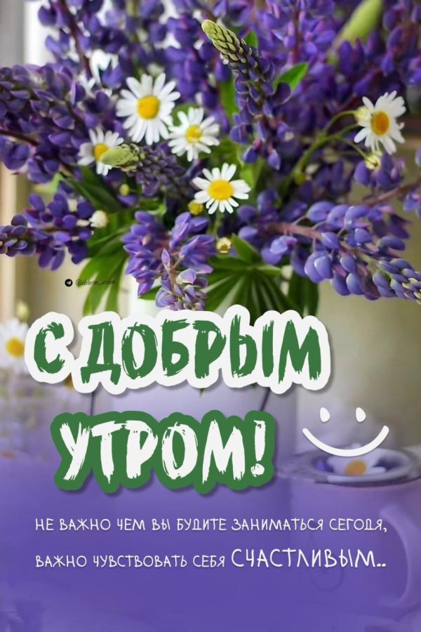 доброго утра лета