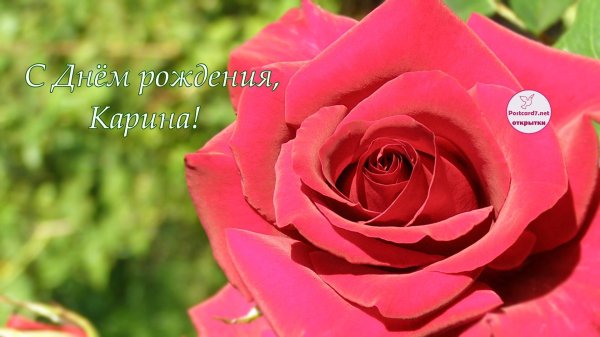 с днём рождения карина открытки красивые