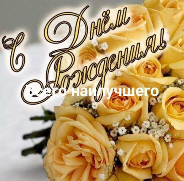 красивые чайные розы букеты