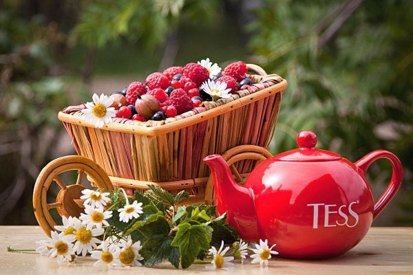 доброе воскресное августовское утро