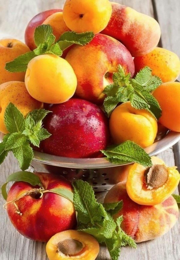 персик нектарин абрикос