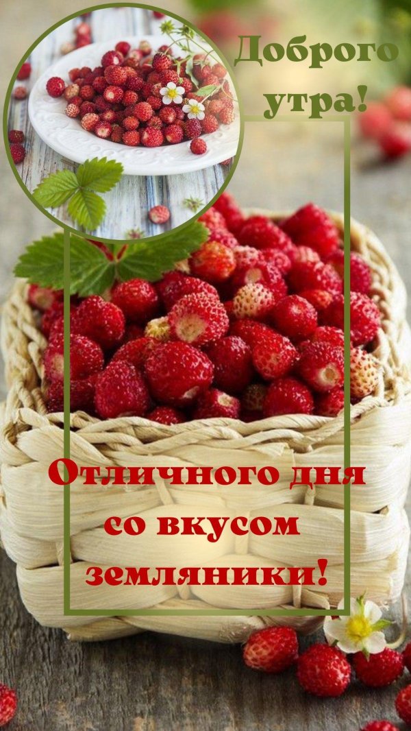 отдушка лесная земляника