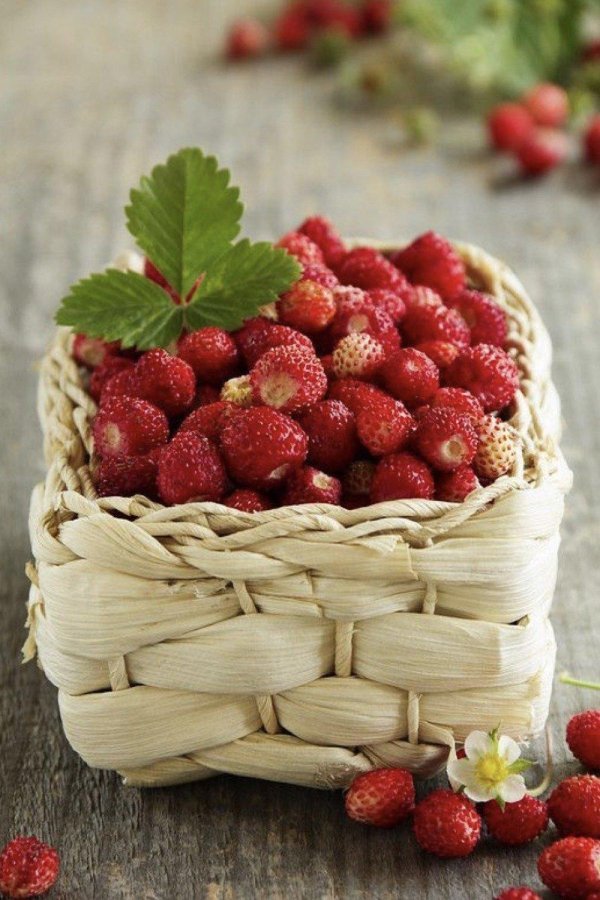 земляника ягодное лукошко