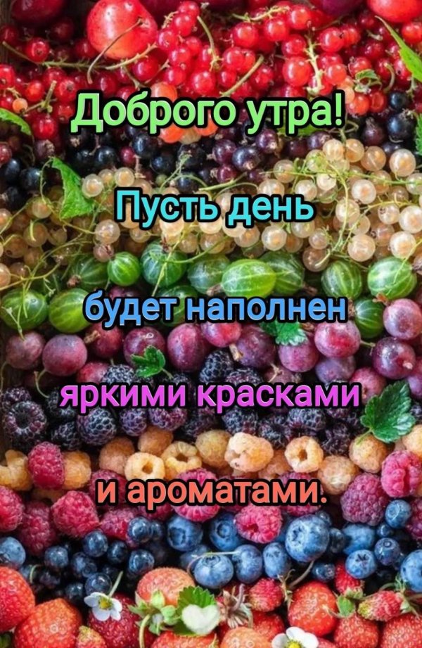 крубника малина черника смородина