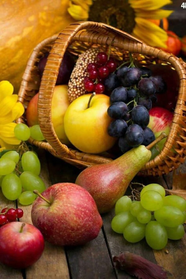 осенние фрукты