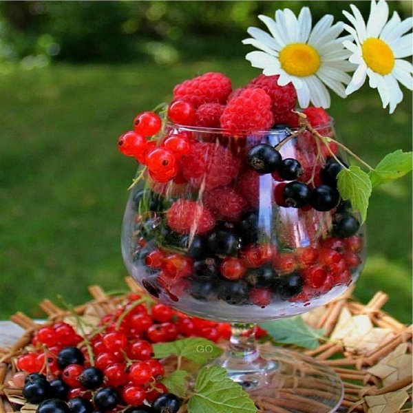 доброго утра летнего