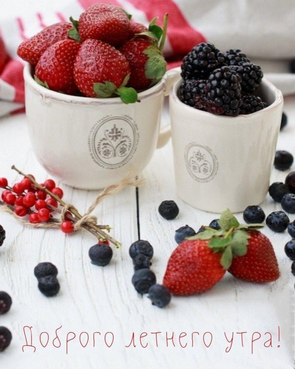 красивые ягоды