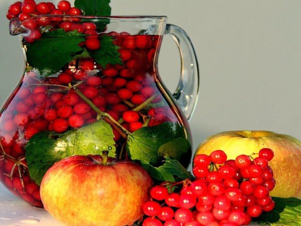 елена чумакова гроздь рябиновых ягод