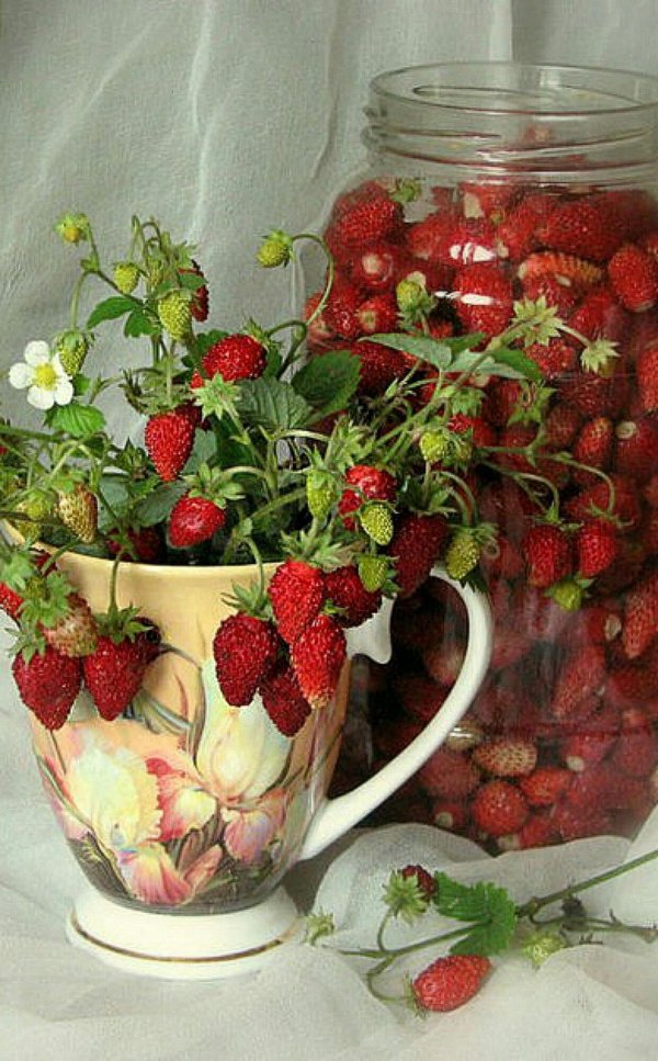 цветы ягоды