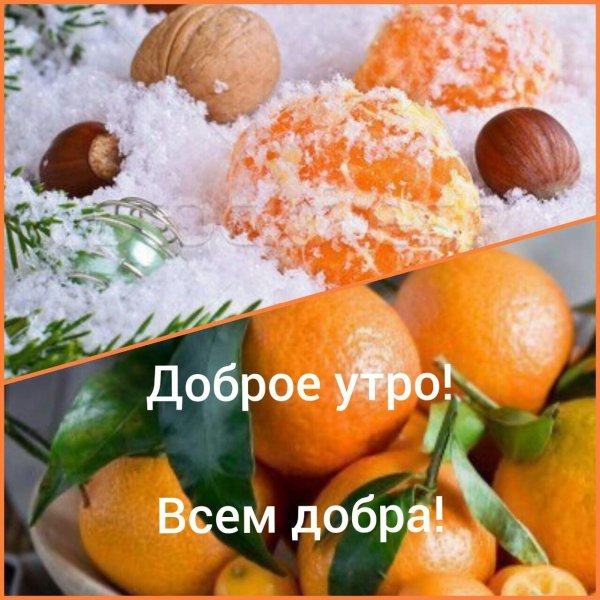 доброе мандариновое утро
