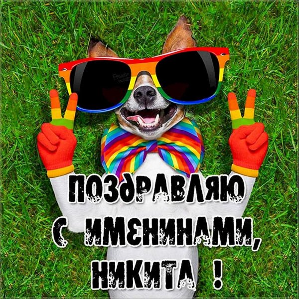 гикита с днём рождения