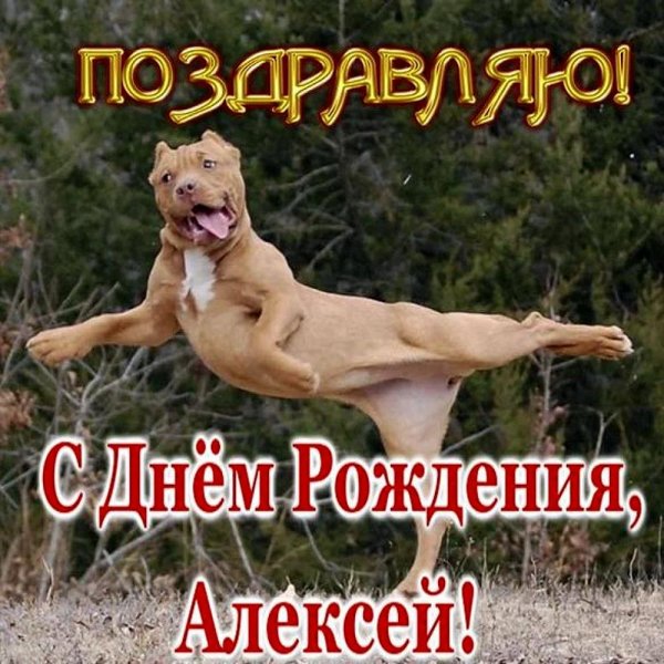 смешные поздравления с днем рождения