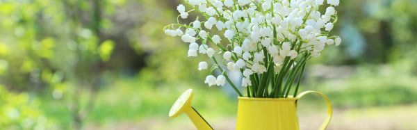 доброе утро ландыши