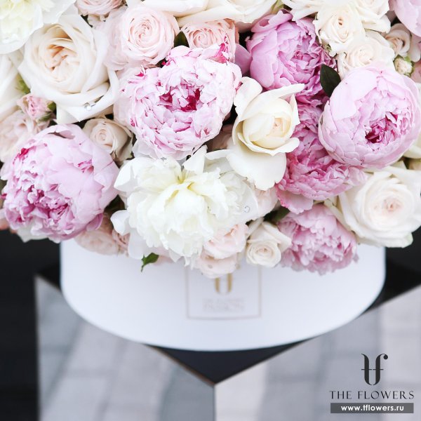 пион сара бернар