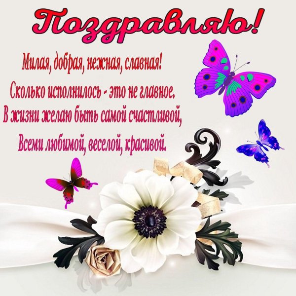 анемона каролина