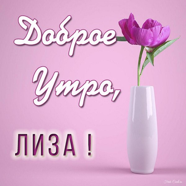 утро лизы