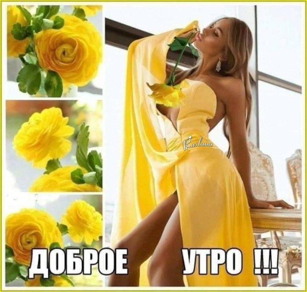 добра утра
