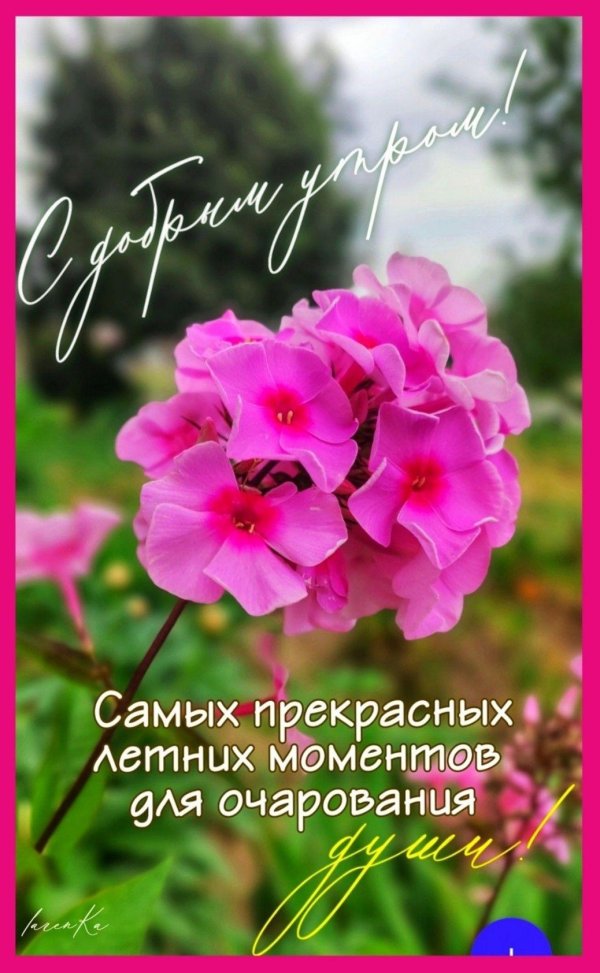 добрейшего летнего утра