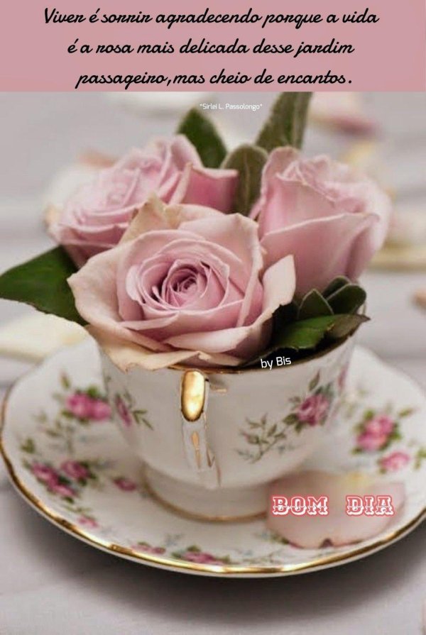 розы в чашке