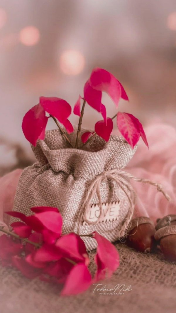 мешочек для украшений