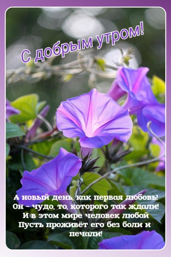 душэмбе иртэсе