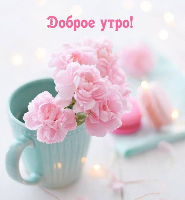 утро красивое нежное