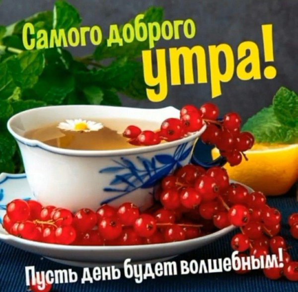 с добрым летним утром здоровья