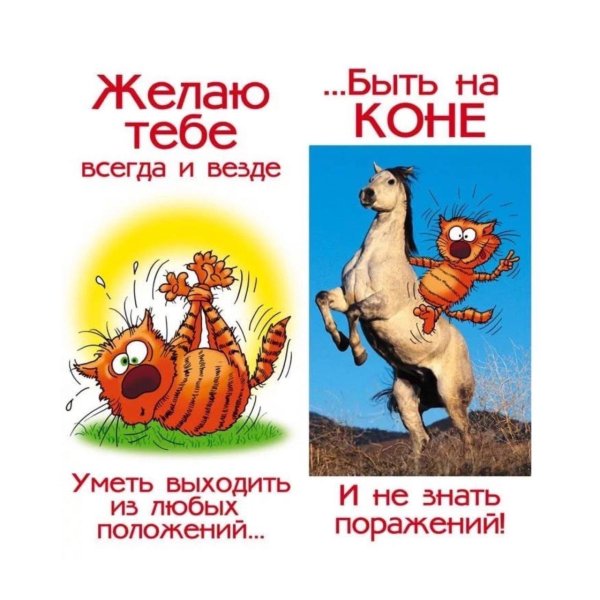 желаю быть на коне