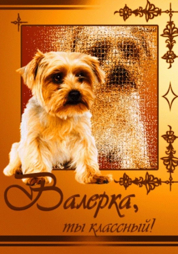 поздравления с днём рождения валере