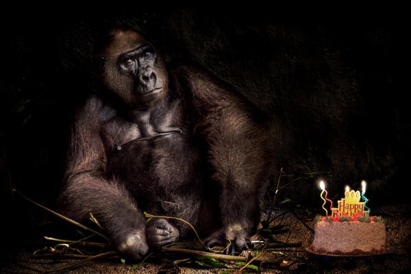 на день рождения поздравления