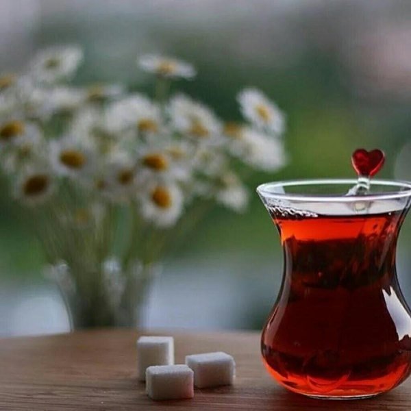 gunaydin красивые