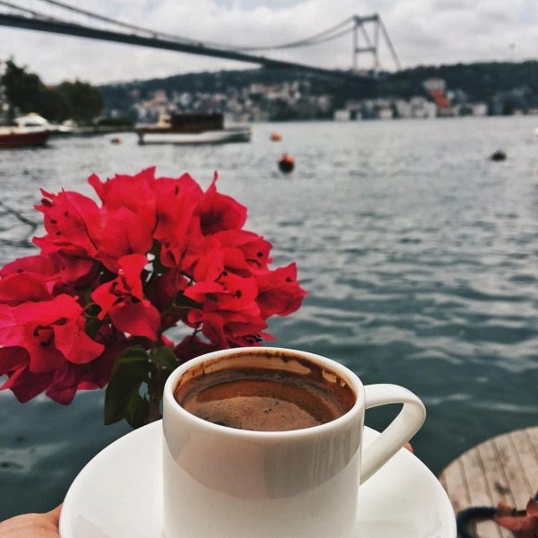 стамбул гюнайдын