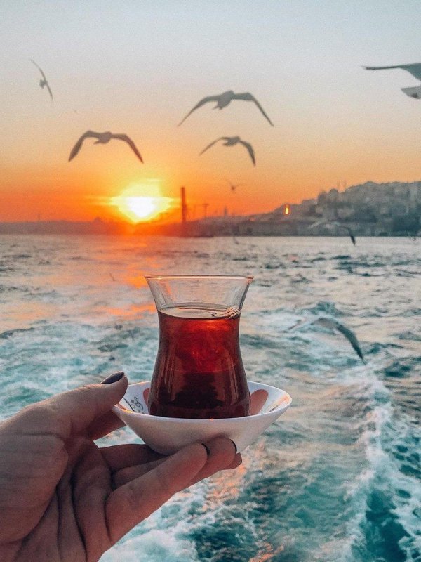 чаепитие на фоне моря