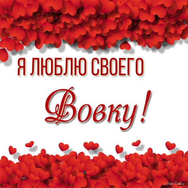 люблю своего вовочку
