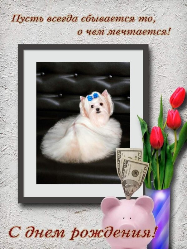 бивер йорк голдаст