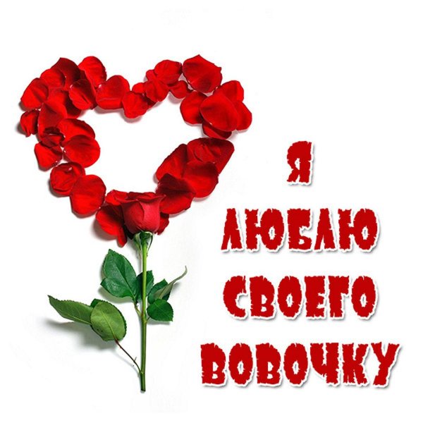 люблю своего вовочку