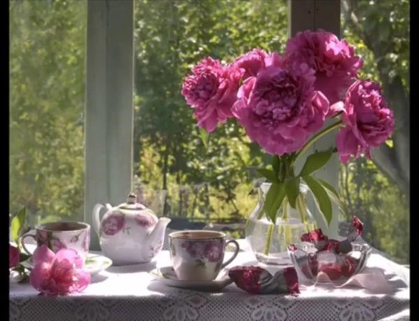 летнее чаепитие в саду