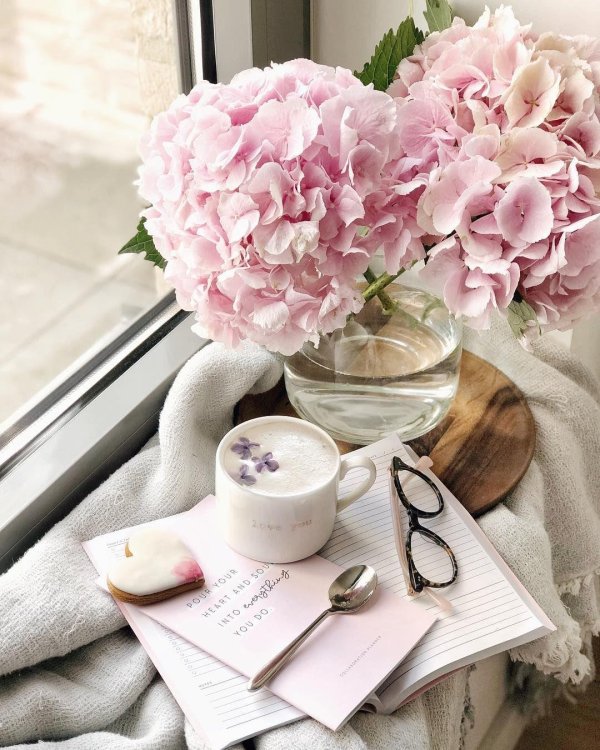 красивые нежные цветы